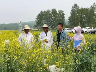 我国首个北亚油料科研平台--“北亚油菜大豆科创中心”正式揭牌